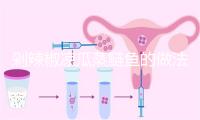 剁辣椒凉瓜蒸鲢鱼的做法
